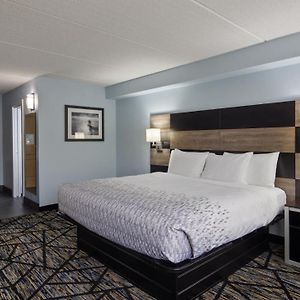 King Room Roll Shower Disability Access